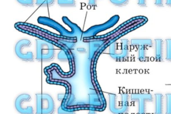 Ссылка адрес на кракен