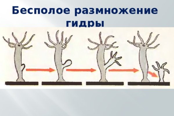 Кракен магазин морепродуктов