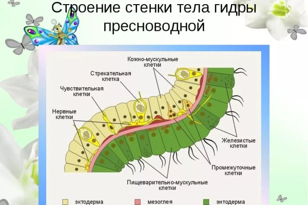 Гидра альтернатива