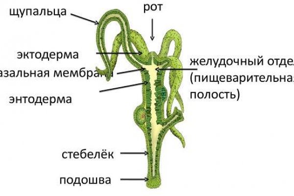 Зеркало на кракен